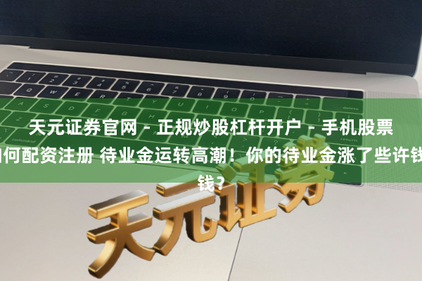天元证券官网 - 正规炒股杠杆开户 - 手机股票如何配资注册 待业金运转高潮！你的待业金涨了些许钱？